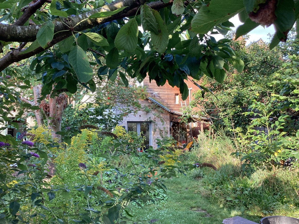 Grove Cottage Garden